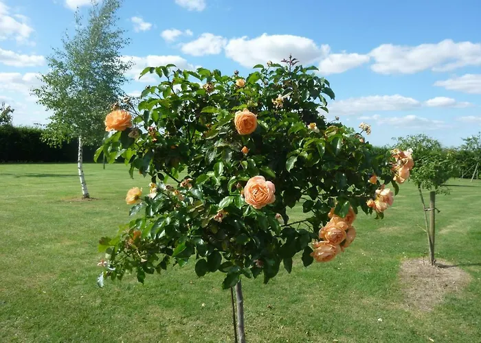 Relais Du Saussay Pertheville-Ners