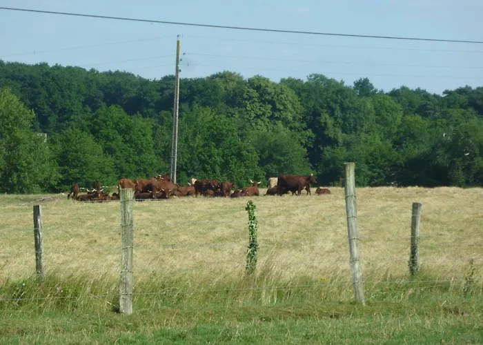 샬레 Relais Du Saussay *